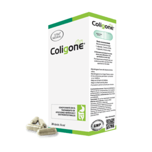 Coligone 30 cápsulas Total Natural